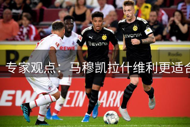 专家观点：马穆凯拉什维利更适合湖人替补角色