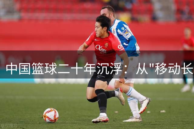 中国篮球二十年沉浮：从"移动长城"到青黄不接的幕后推手