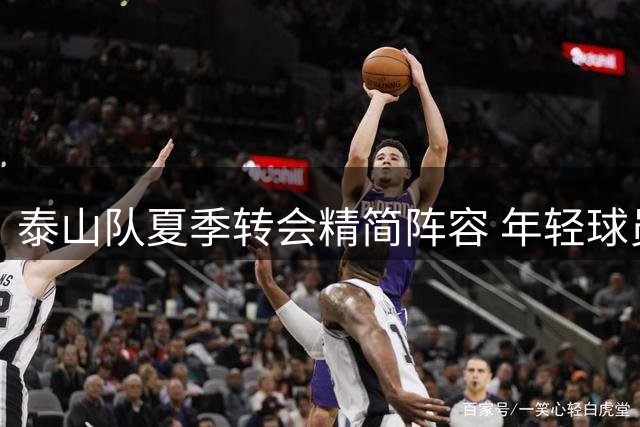 泰山队夏季转会精简阵容 年轻球员将获更多机会