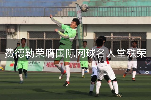 费德勒荣膺国际网球名人堂殊荣